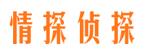 滨城侦探公司